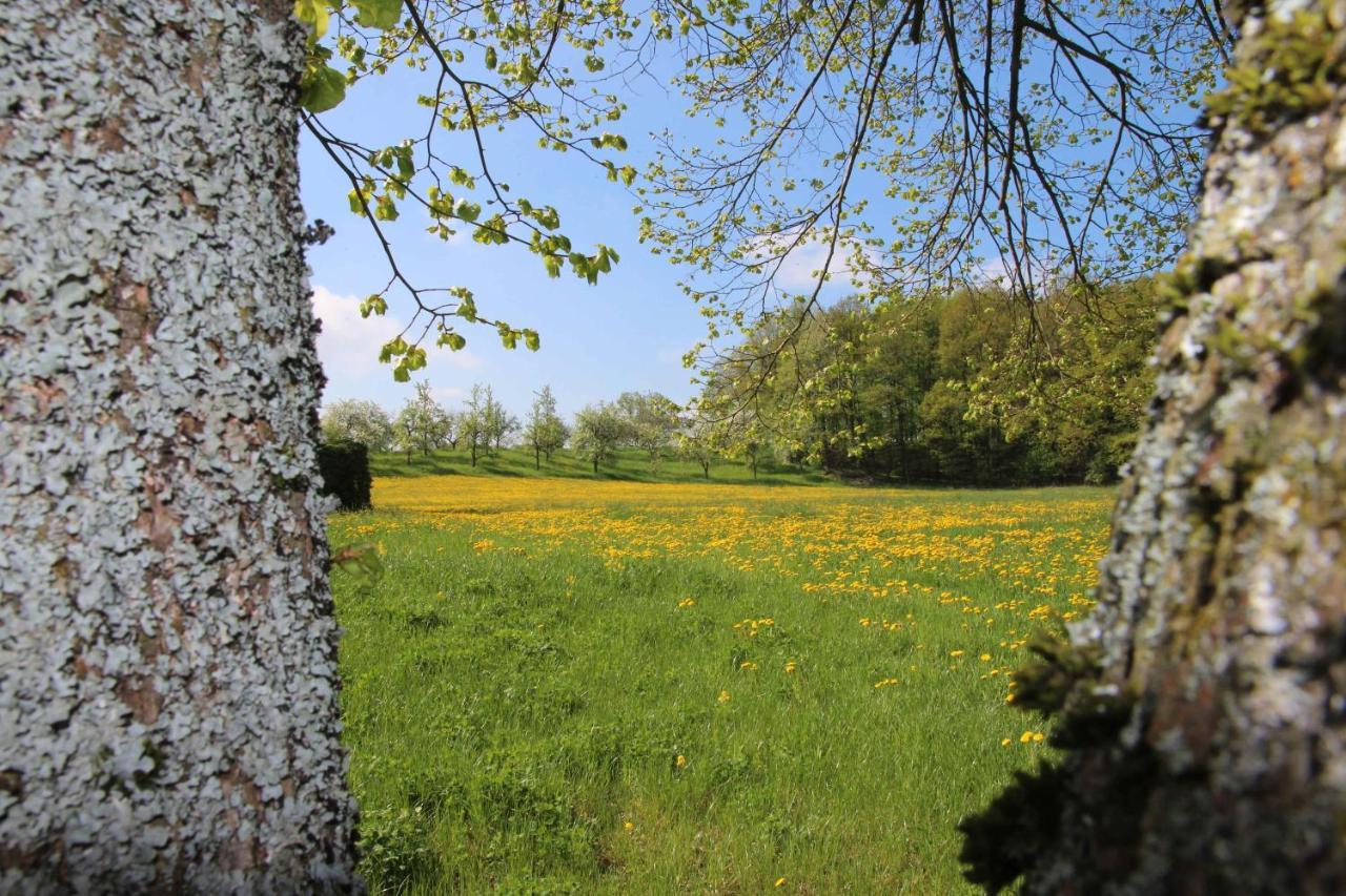 Gutshof Andres Kirchlauter Exterior foto